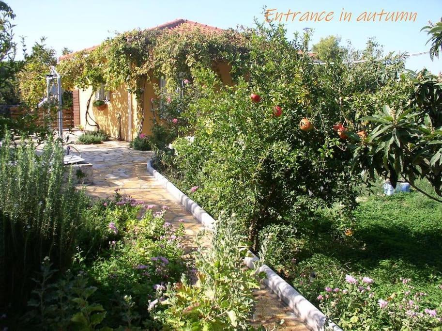 Adonino Residence-the House Of Pomegranates Holiday home Lakithra