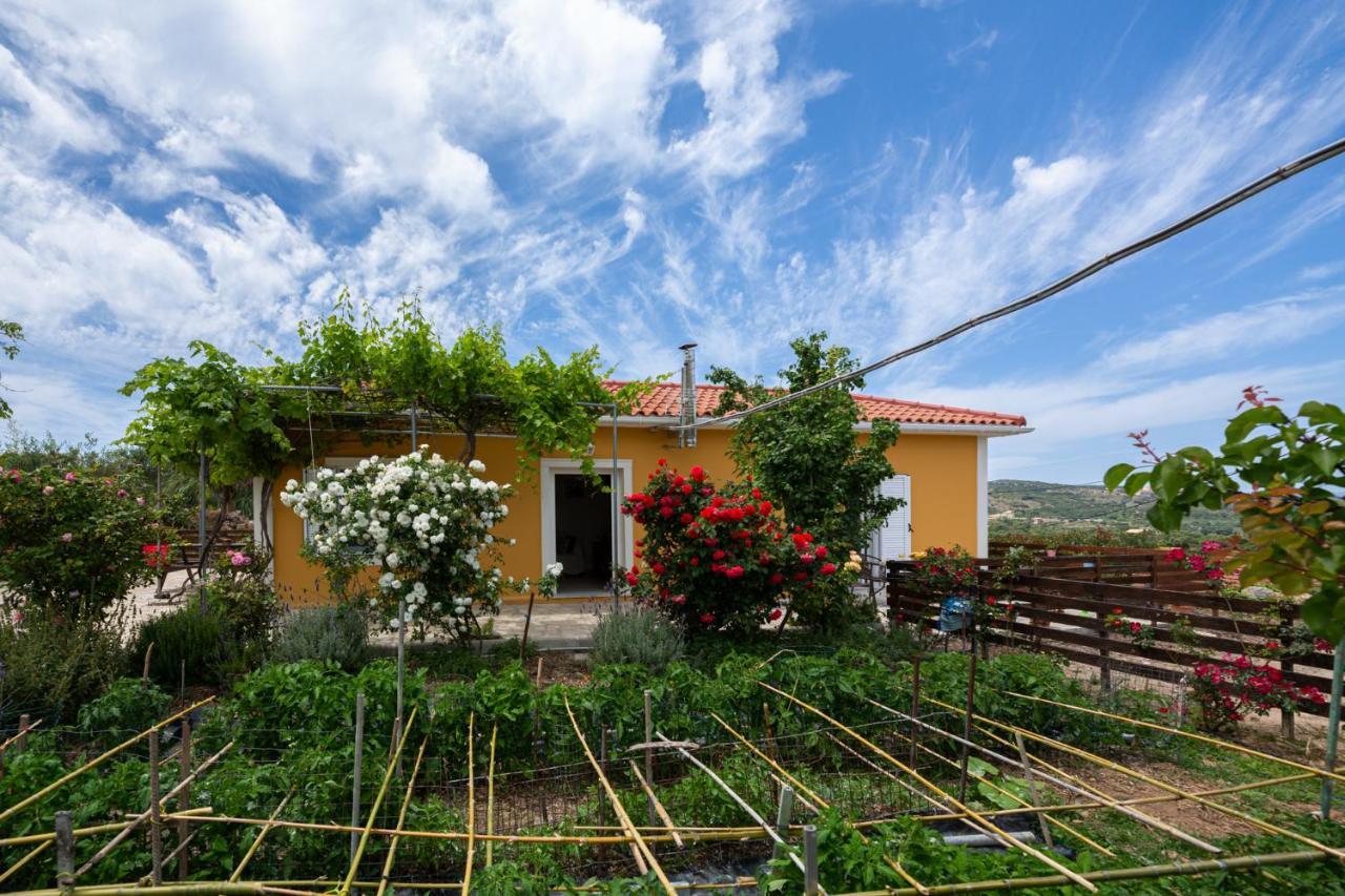 Adonino Residence-the House Of Pomegranates Lakithra