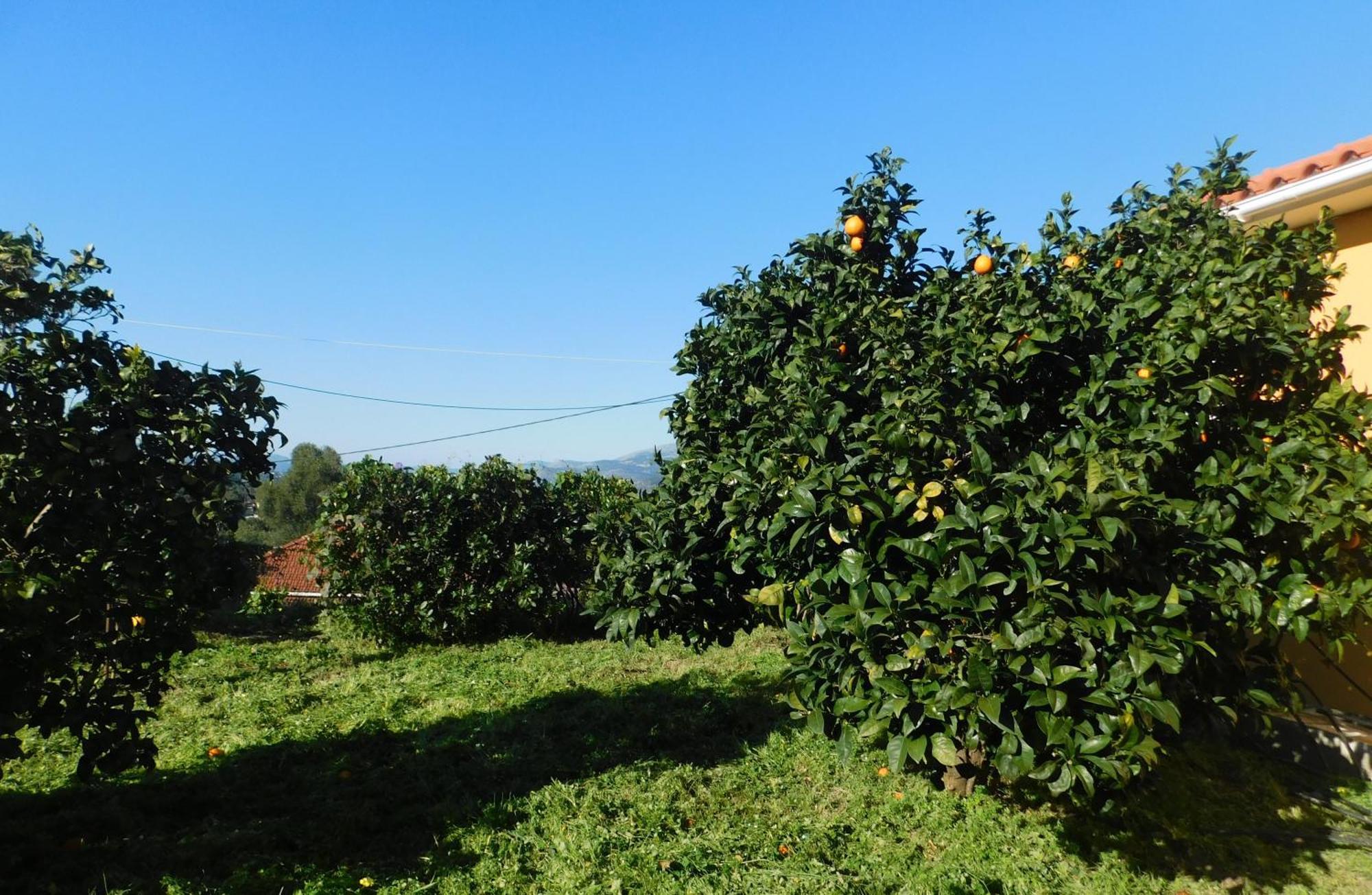Adonino Residence-the House Of Pomegranates Holiday home Lakithra